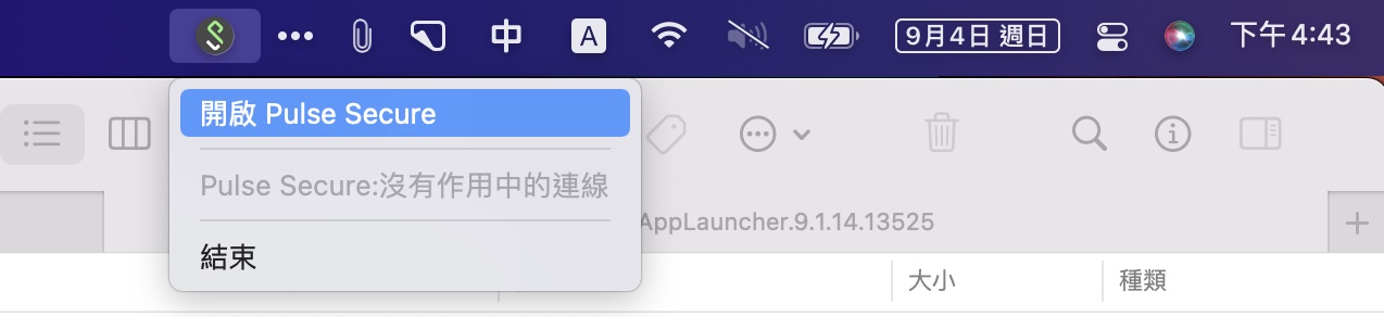 VPN Pulse Secure macOS Setup 01